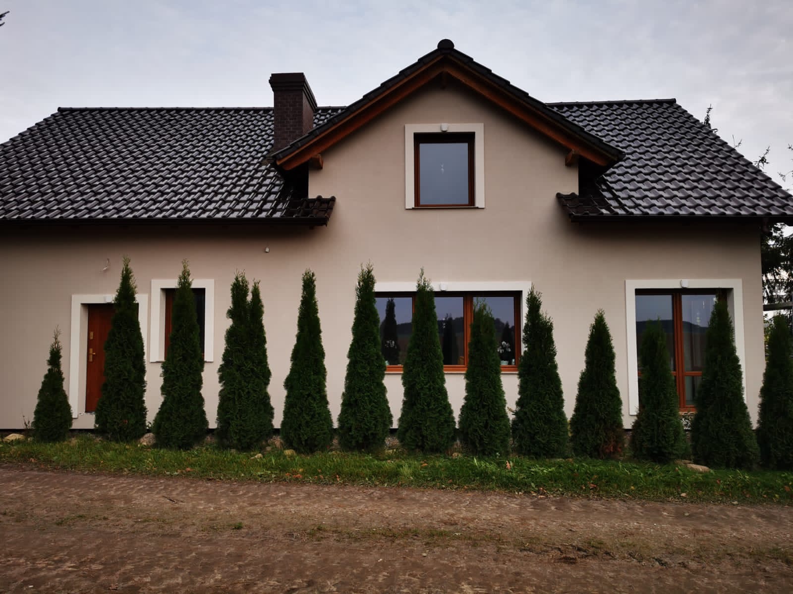 Elewacja domu jednorodzinnego z ciemną dachówką, brązowymi ramami okiennymi i rzędem zielonych tuj wzdłuż ściany.