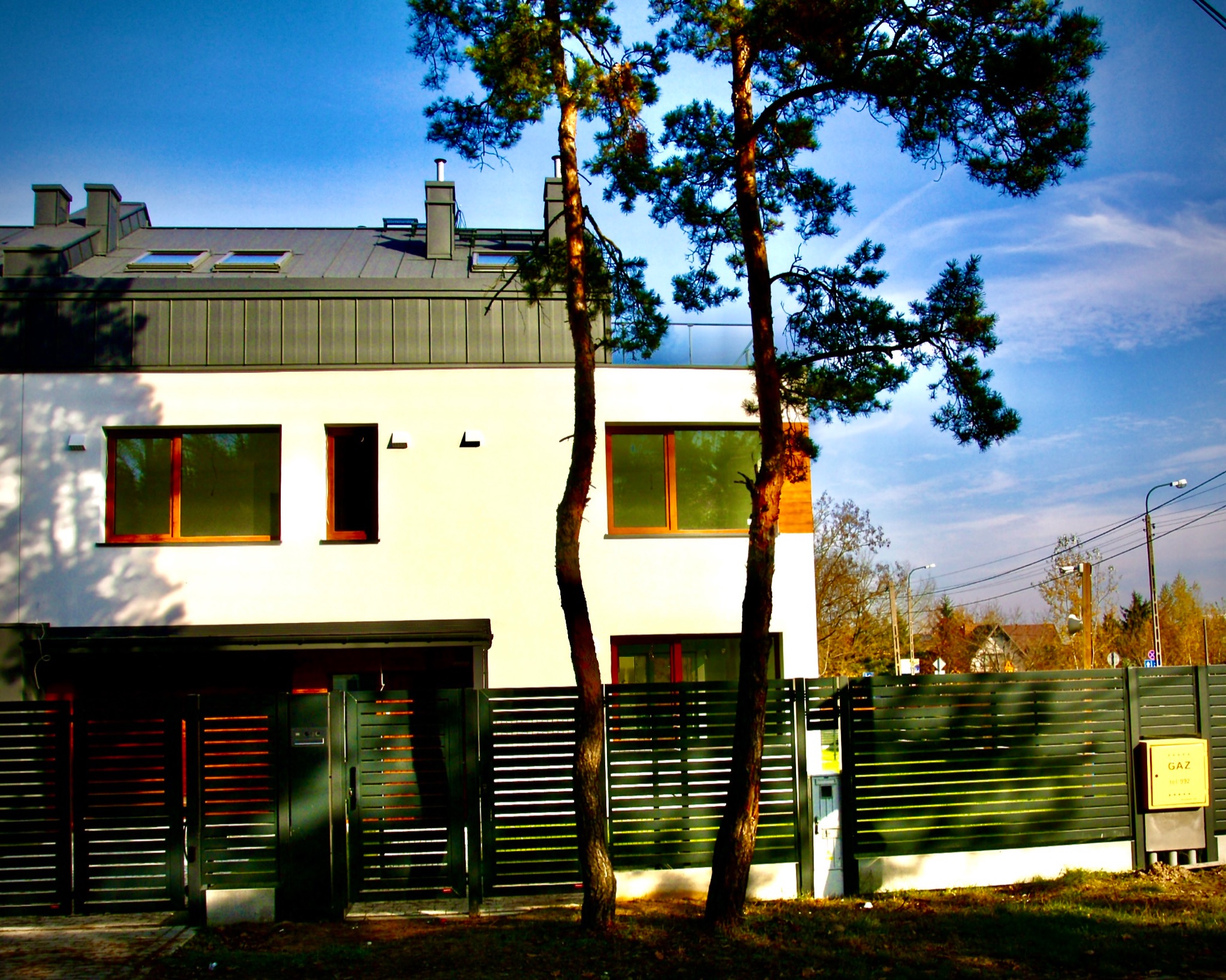 Dwukondygnacyjny dom z płaskim dachem i grafitową elewacją, widoczny zza ciemnozielonego ogrodzenia z poziomych desek, z dwoma sosnami na pierwszym planie.