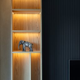 FURSTA Meble Wojciech Ziembla - Drewniana szafka wnękowa z oświetleniem LED, dekorowana figurką słonia i ozdobną urną. Ciemna, pionowo żłobiona ściana w tle. Nowoczesny design.