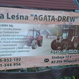 Firma Leśna AGATA-DREW Agata Gapińska - Wycinki Milejewo