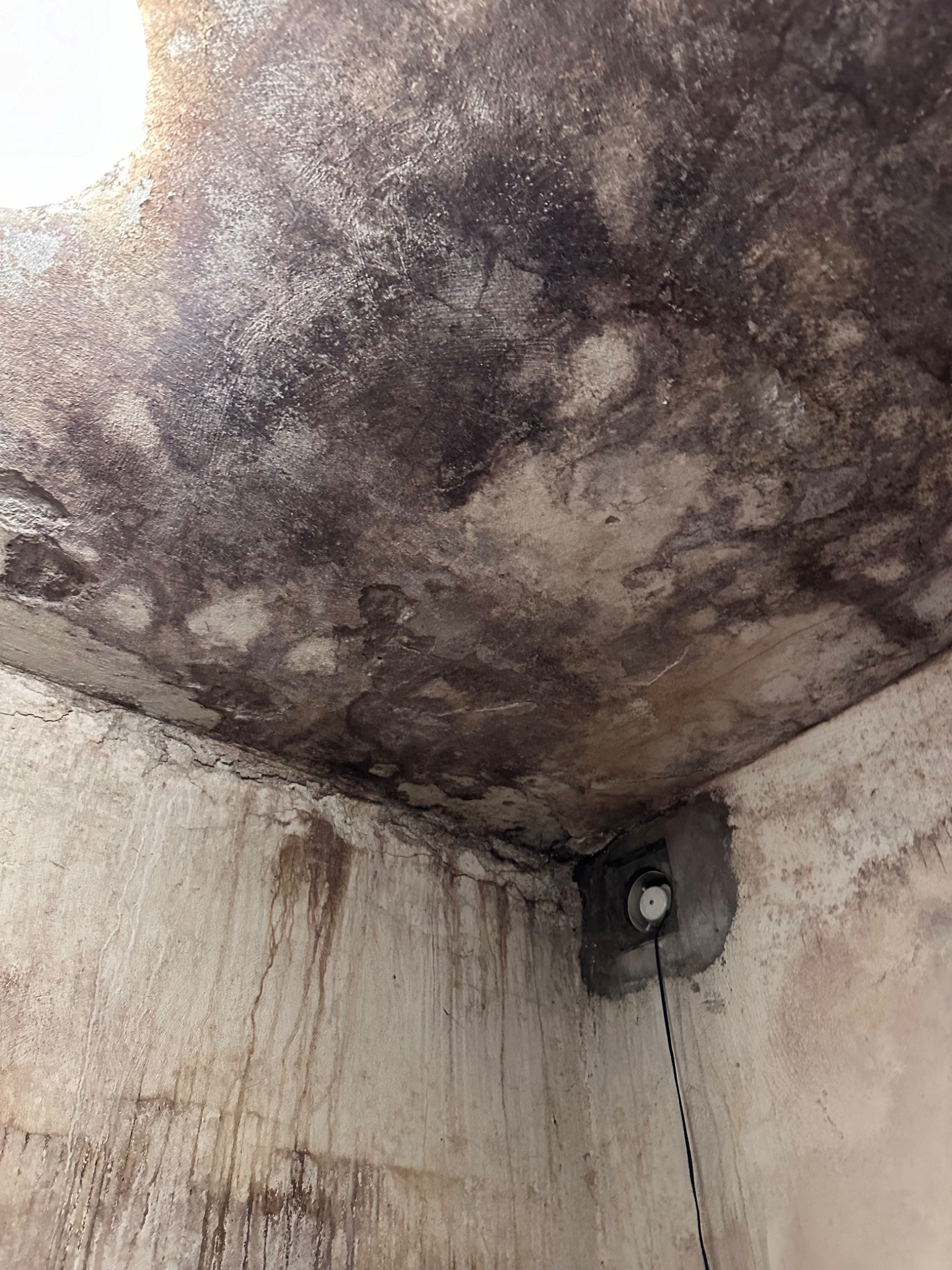 Zacieki i pleśń na ścianie i suficie piwnicy, widoczny kabel z czujnikiem wilgoci.