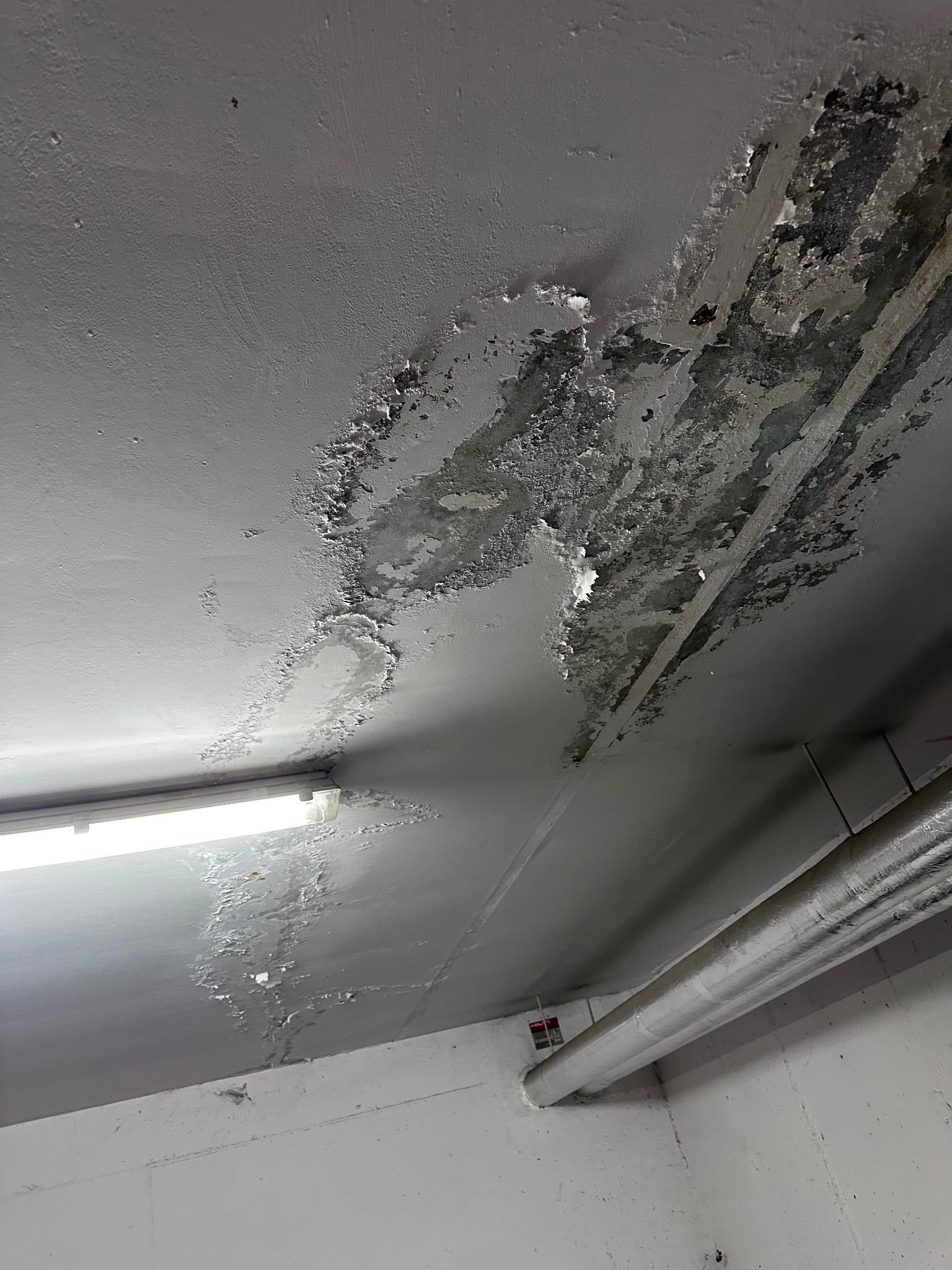 Zawilgocony sufit z odpadającą farbą i widocznymi śladami zacieków, oświetlony lampą jarzeniową, z rurami instalacyjnymi w tle.