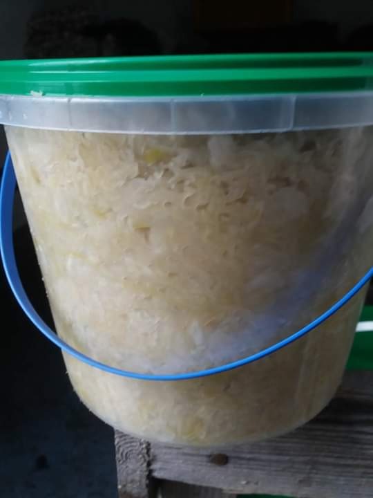 Plastikowe wiadro z zieloną pokrywą, wypełnione kiszoną kapustą, stojące na drewnianej powierzchni, widoczne z boku.