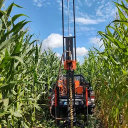 Wiertnica geologiczna zamontowana na samochodzie, pracująca na polu kukurydzy w słoneczny dzień.