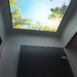 Iluminowany sufit z motywem drzew i nieba, wbudowany w białe obramowanie, widok z dołu na tle szarej ściany i czarnych drzwi.