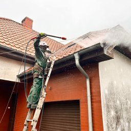 Czyszczenie dachu i elewacji domu.