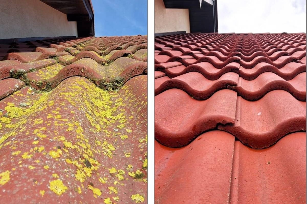 Czerwona dachówka przed i po czyszczeniu: po lewej porośnięta mchem i glonami, po prawej czysta, mokra od wody. Widok z dołu, fragment budynku w tle.