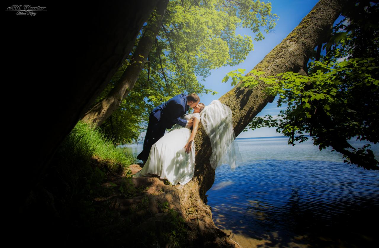 Para młoda całująca się na drzewie nad brzegiem jeziora w słoneczny dzień, panna młoda w białej sukni leży na pniu, pan młody w granatowym garniturze.