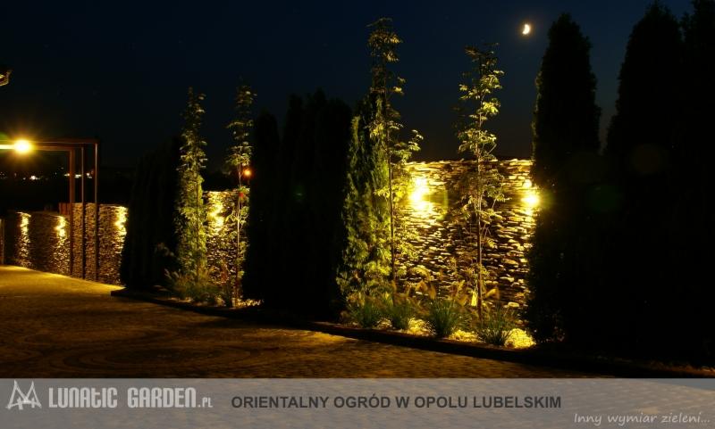 Oświetlony nocą kamienny mur z nasadzeniami drzew i traw, podświetlony ciepłymi punktowymi lampami, widoczny sierp księżyca na ciemnym niebie.