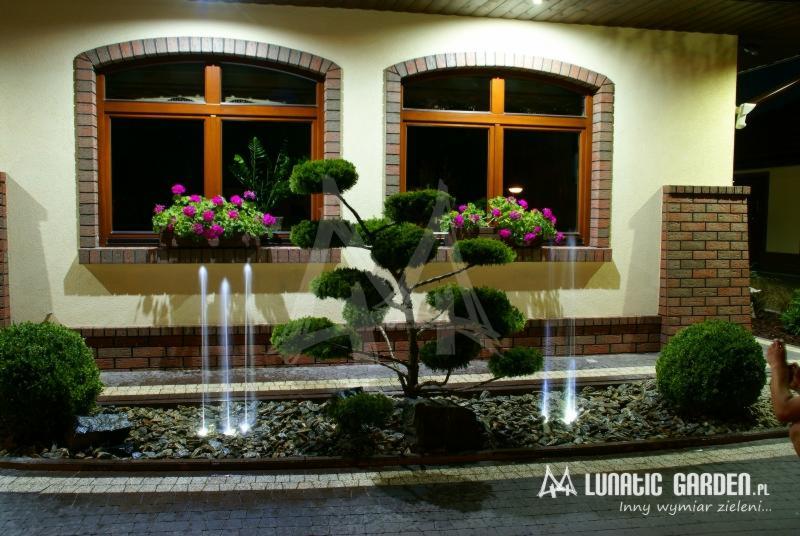 Oświetlony ogródek przed domem z fontanną tryskającą z kamieni, ozdobnym drzewkiem i kwiatami w skrzynkach pod oknami z ceglaną obudową.