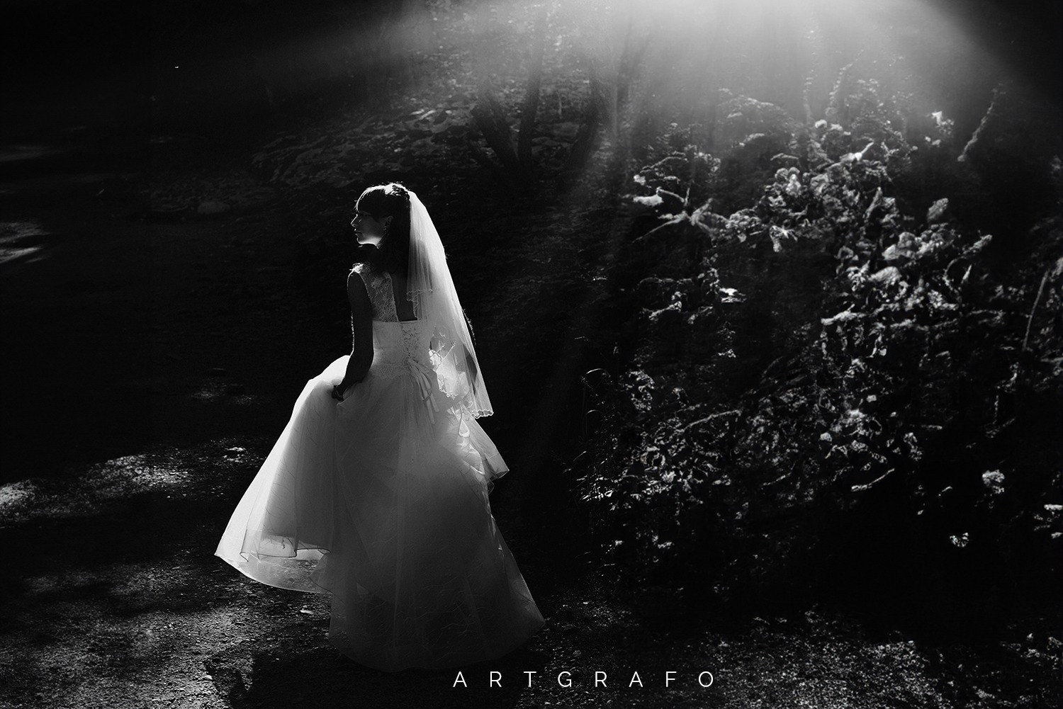 Czarno-białe zdjęcie panny młodej w sukni ślubnej z welonem, stojącej bokiem w zacienionym lesie, oświetlonej promieniami słońca.