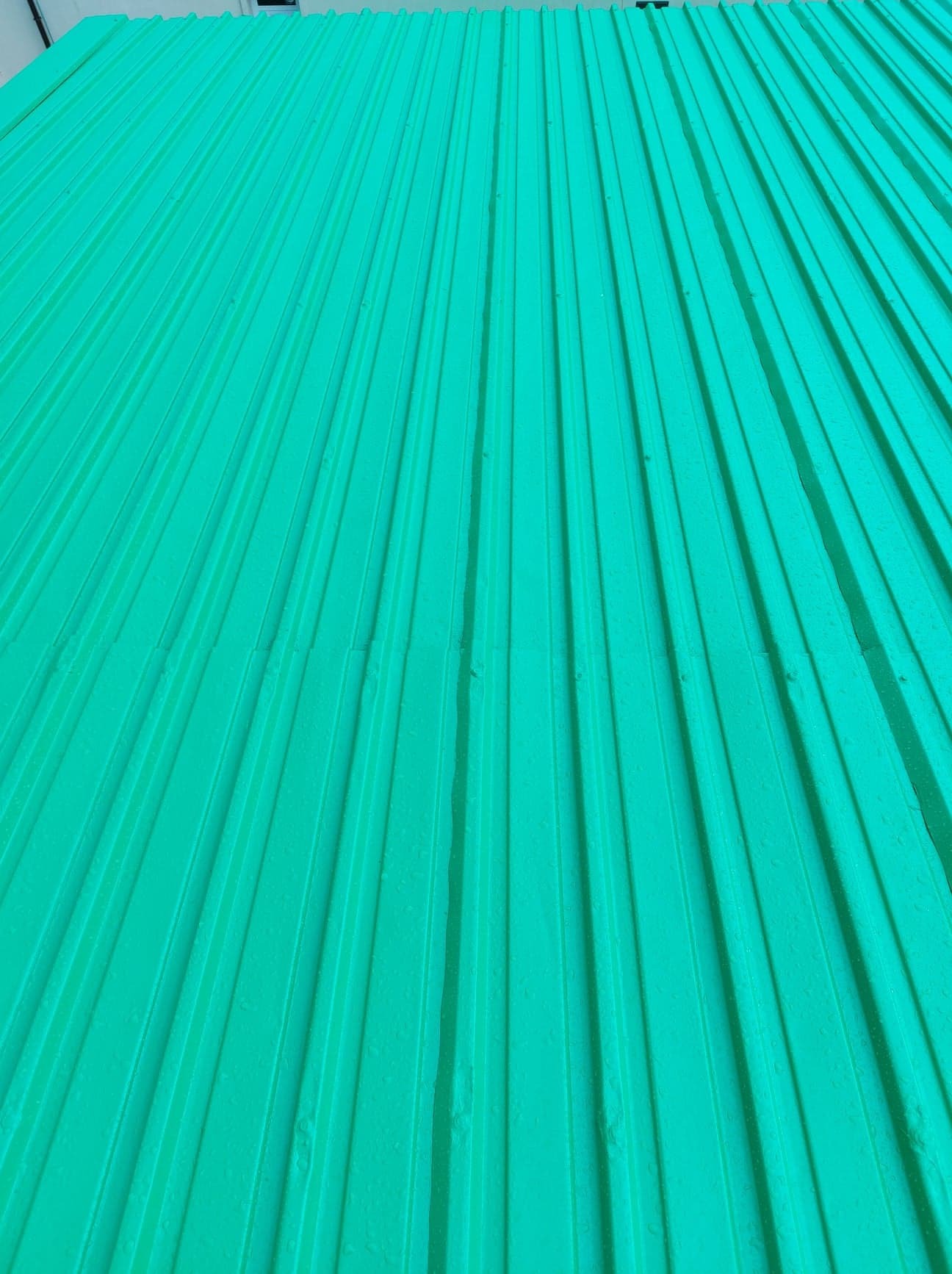 Jasnozielona, profilowana blacha trapezowa, widoczne delikatne ślady po deszczu i łączenia arkuszy.