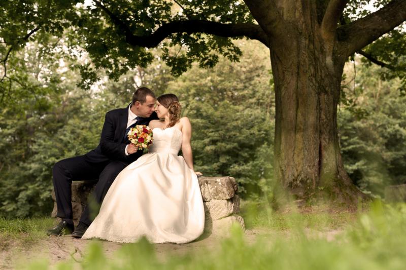 Para młoda siedzi na kamiennym murku pod rozłożystym drzewem w parku, trzymając bukiet czerwonych i białych róż.