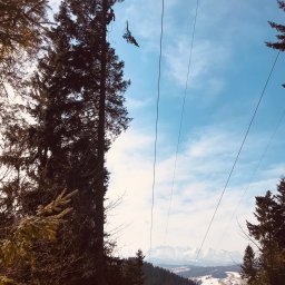 Jarosław Zychowicz LASTECH