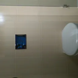 Beżowe płytki ścienne w łazience z zamontowaną toaletą i chromowanym przyciskiem spłukiwania, widoczny fragment drewnopodobnej podłogi.