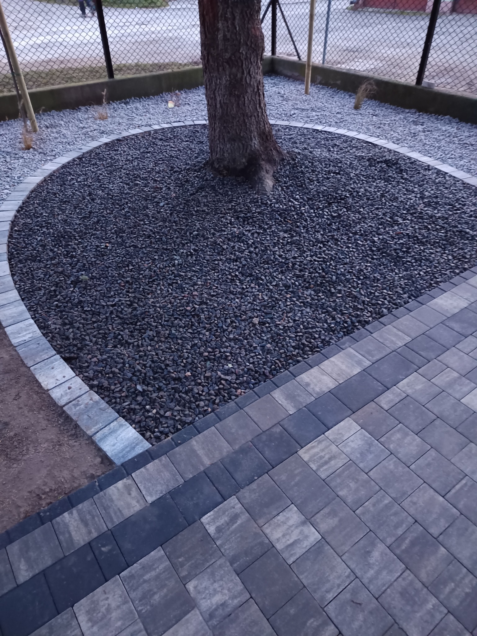 Obrzeże z kostki brukowej wokół drzewa, wypełnione ciemnym grysem. Widoczny fragment chodnika z kostki. Estetyczne wykończenie terenu.