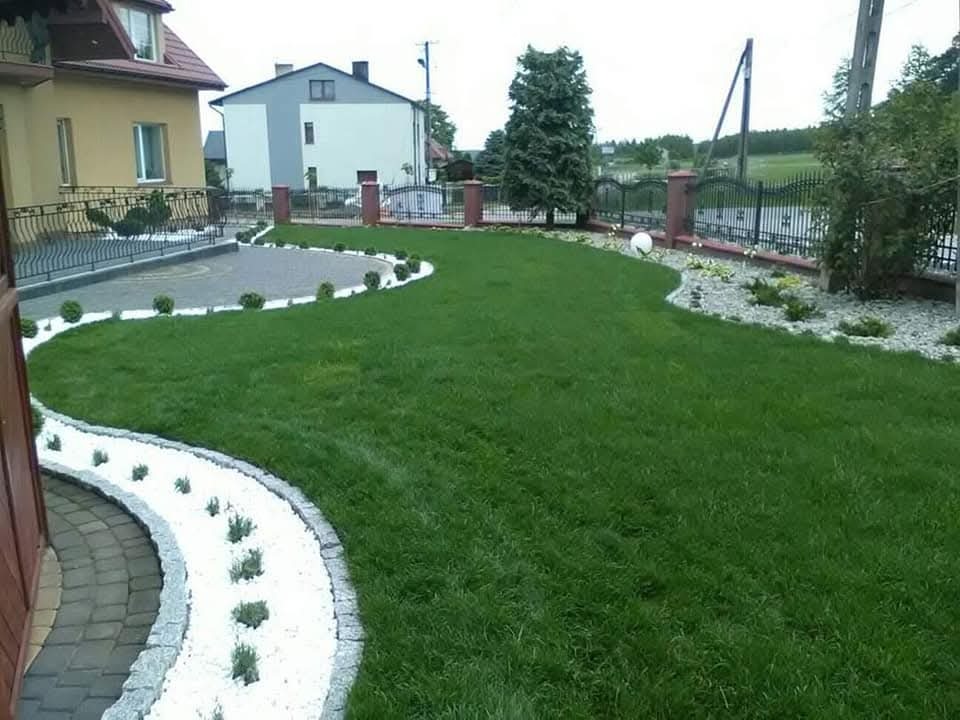 Zadbany trawnik z białymi kamieniami tworzącymi ścieżki i obwódki rabat. W tle domy i ogrodzenie z ceglanymi słupkami. Widok na starannie zaprojektowany ogród.