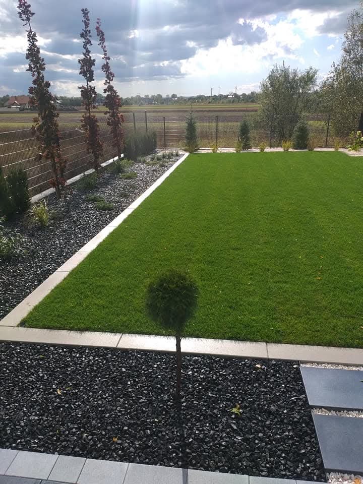 Zadbany trawnik z równo przystrzyżoną trawą, obrzeżami z kostki i czarnym grysem. W tle widoczne drzewa i pole za ogrodzeniem. Dekoracyjne drzewko kuliste na pierwszym planie.