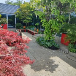 SPDE Serwis ogrodowy - Kaskadowa wisteria i czerwony klon palmowy zdobią patio z szarej kostki. W tle nowoczesny budynek z dużymi oknami i zielenią. Dekoracyjna rzeźba ptaka.