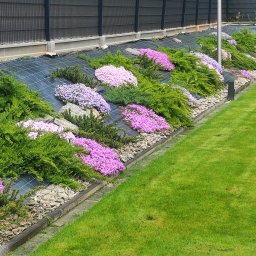 SPDE Serwis ogrodowy - Skarpa w ogrodzie z kwitnącymi floksami szydlastymi, iglakami i kamieniami, zabezpieczona siatką szkółkarską, z widocznym trawnikiem i nowoczesnym ogrodzeniem.