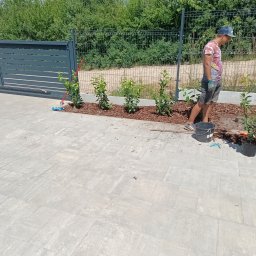 SPDE Serwis ogrodowy - Mężczyzna w czapce i rękawiczkach sadzi młode krzewy w rzędzie, obsypując je korą, wzdłuż nowoczesnej bramy i ogrodzenia panelowego, na tle jasnych płyt chodnikowych.
