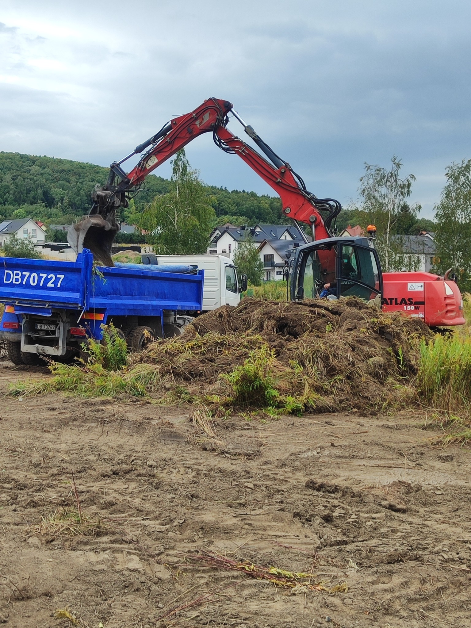 Czerwona koparka Atlas 150W ładuje ziemię do niebieskiej wywrotki DB70727 na tle zabudowy mieszkalnej i zieleni. Prace ziemne w toku.