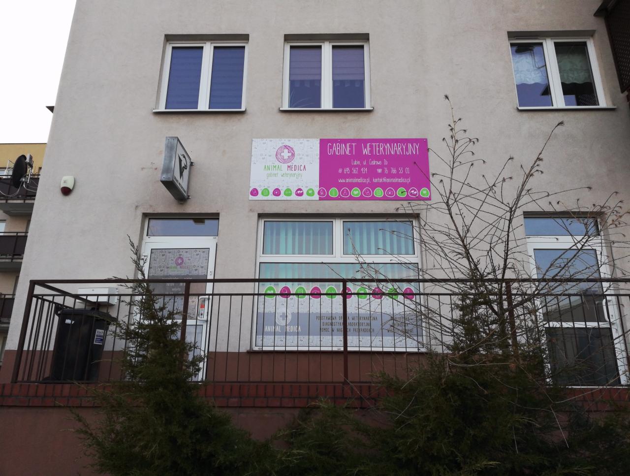 Fasada budynku z szyldem 'GABINET WETERYNARYJNY ANIMAL MEDICA' w Lubinie, widoczne okna i fragment zieleni przed wejściem.