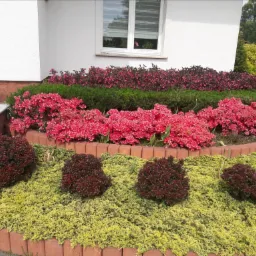 realizacja autorskiego projektu- Brzeg