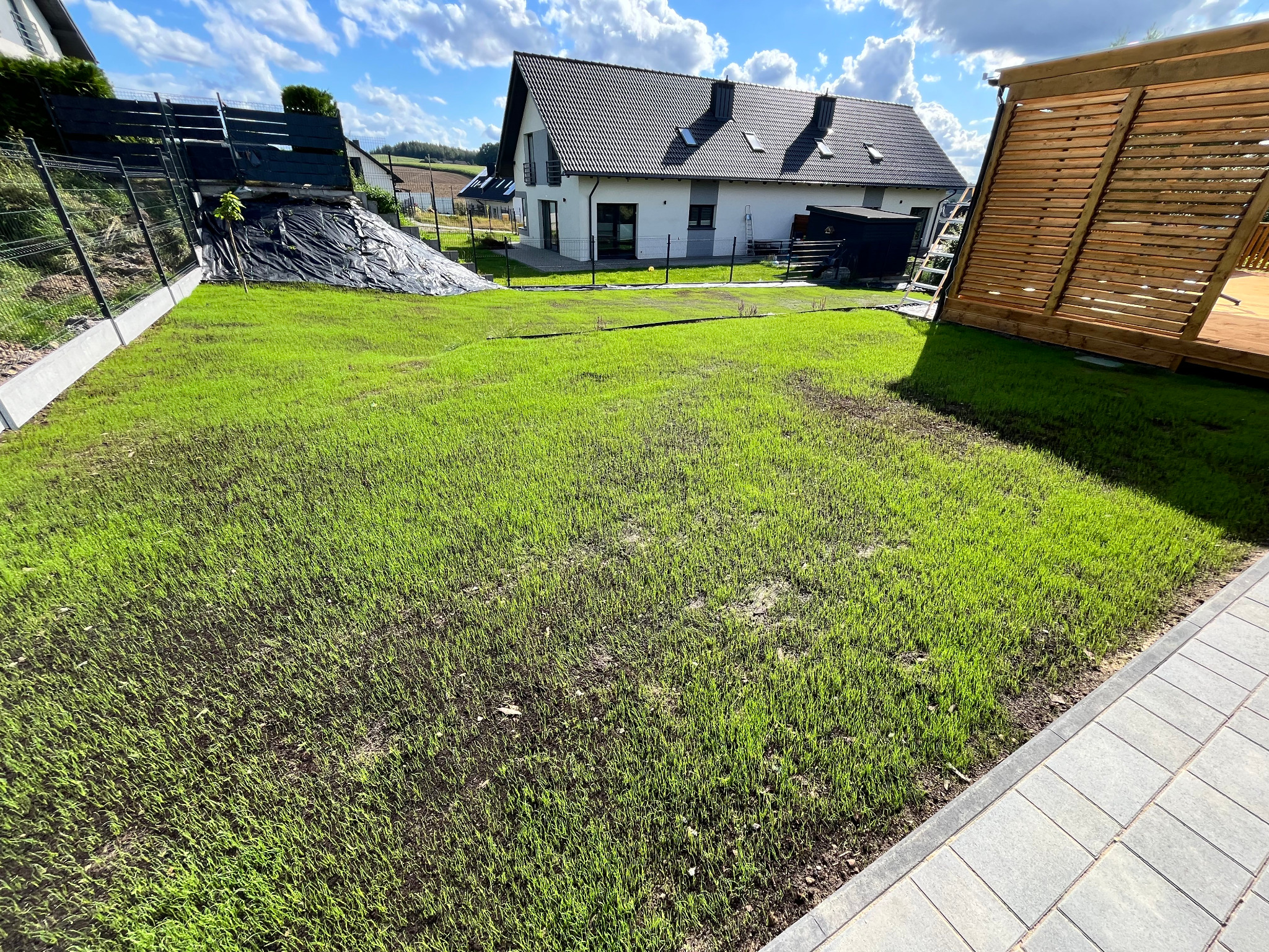 Świeżo zasiana trawa na posesji w Żukowie, z widocznym domem i elementami architektury ogrodowej. Młoda zieleń kontrastuje z jasną elewacją budynku.