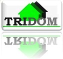 Logo firmy TRIDOM z zielonymi symbolami domu i odbiciem w błyszczącej powierzchni.
