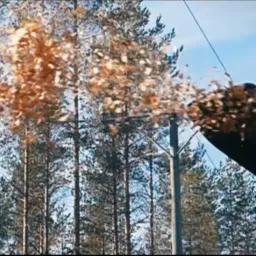 Zimowe odśnieżanie terenu przy użyciu dmuchawy wyrzucającej śnieg na tle lasu sosnowego i błękitnego nieba.