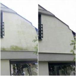Clean House - Porównanie elewacji budynku przed i po czyszczeniu, widoczne różnice w usunięciu zabrudzeń i porostów, ujęcie z dołu, fragment okna i rośliny w kadrze.