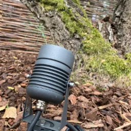 Nisko umieszczony reflektor ogrodowy w kolorze grafitowym, oświetlający korę drzewa porośniętego mchem, z wiklinowym ogrodzeniem w tle.