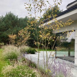 Hortan Marcin Kuśmirek - Usługi w ogrodzie Grodzisk Mazowiecki