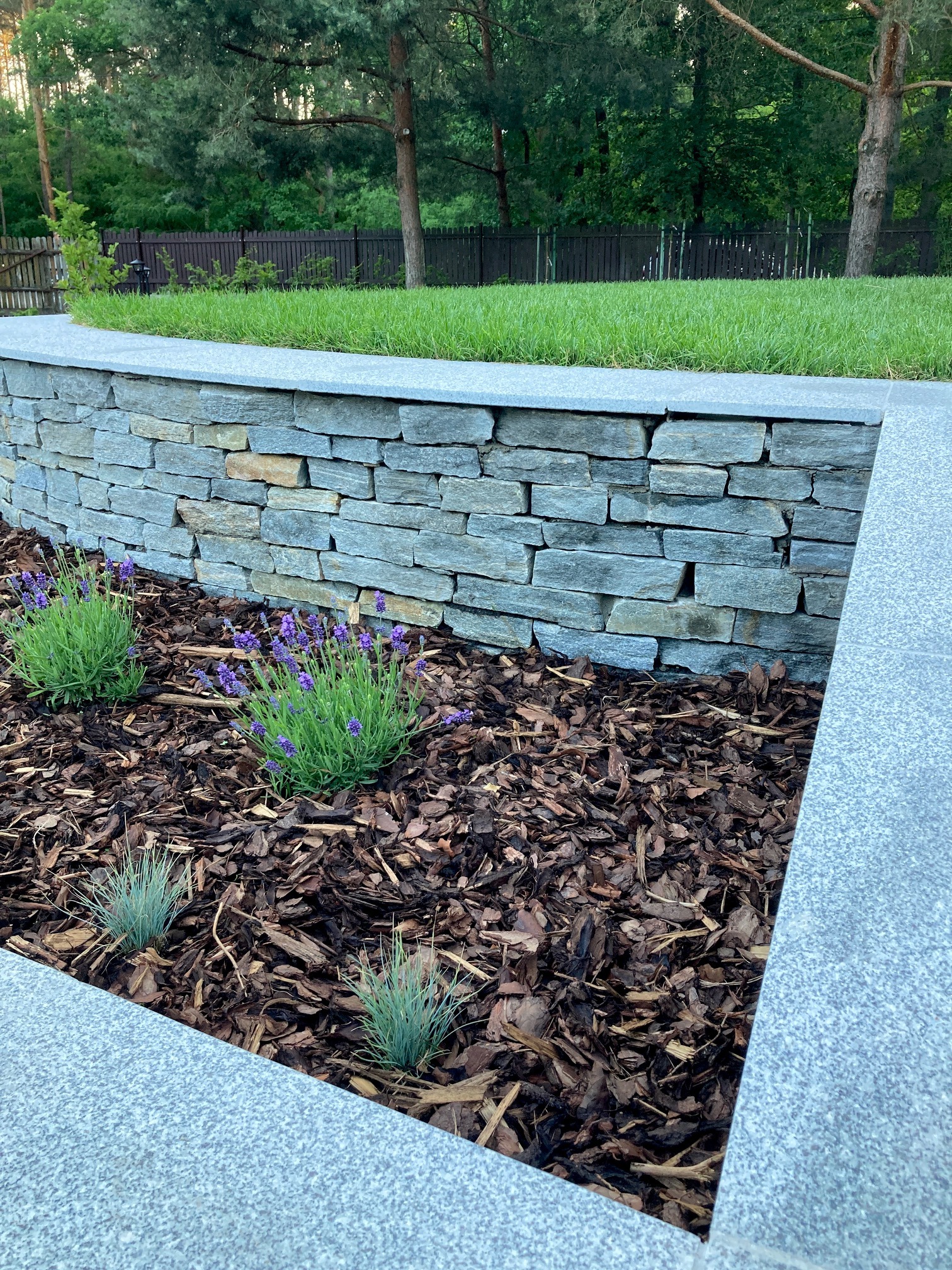 Kaskadowy ogród z kamienną ścianką, świeżo posadzoną lawendą i ozdobnymi trawami, wyłożony korą, z zadbanym trawnikiem w tle.