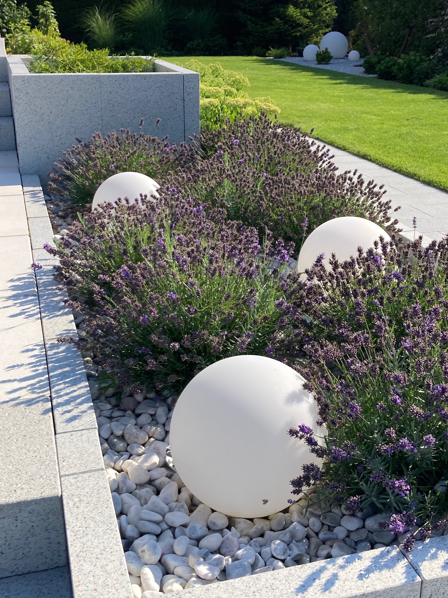 Kaskadowy ogród z lawendą i białymi kulami dekoracyjnymi na białych kamieniach, obramowany szarymi płytami chodnikowymi i niskim murem z szarego kamienia.