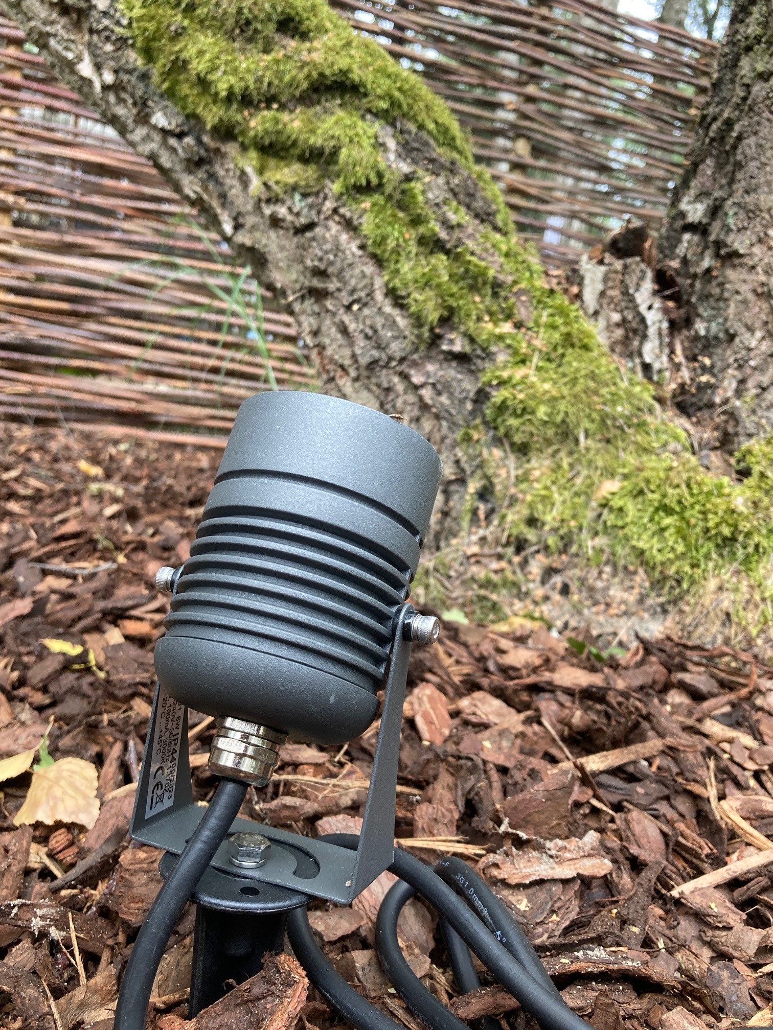 Nisko umieszczony reflektor ogrodowy w kolorze grafitowym, oświetlający korę drzewa porośniętego mchem, z wiklinowym ogrodzeniem w tle.