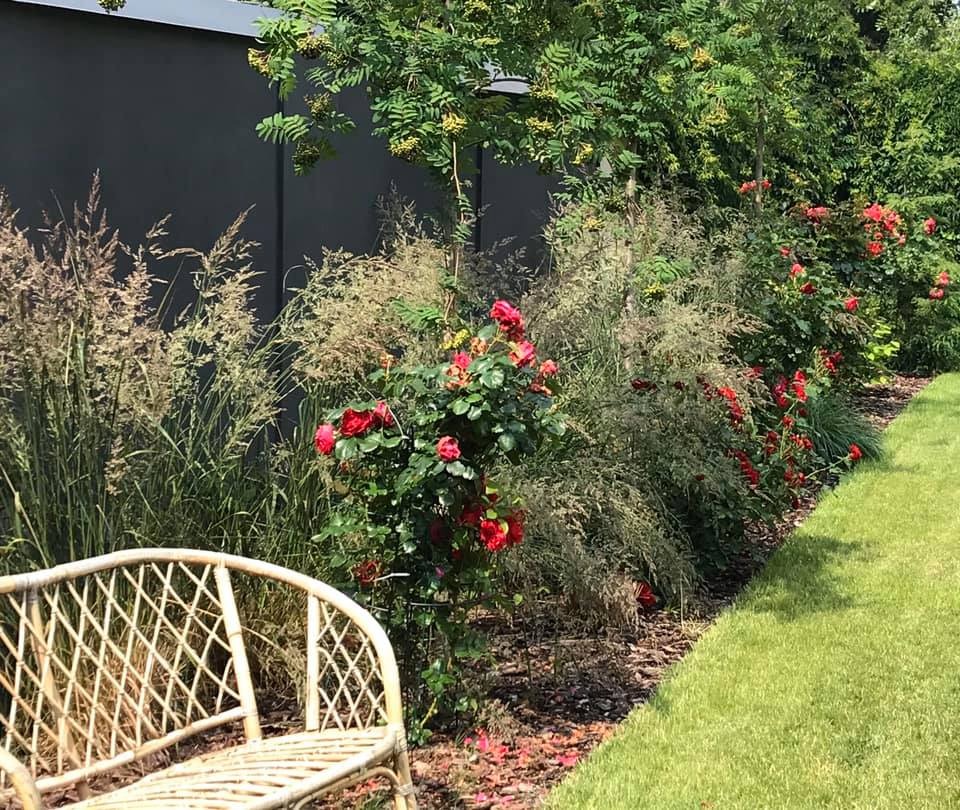 Kwitnące krzewy róż wzdłuż ciemnego ogrodzenia, z ozdobnymi trawami i wiklinową ławką w pierwszym planie, tworzące malowniczy zakątek ogrodowy.
