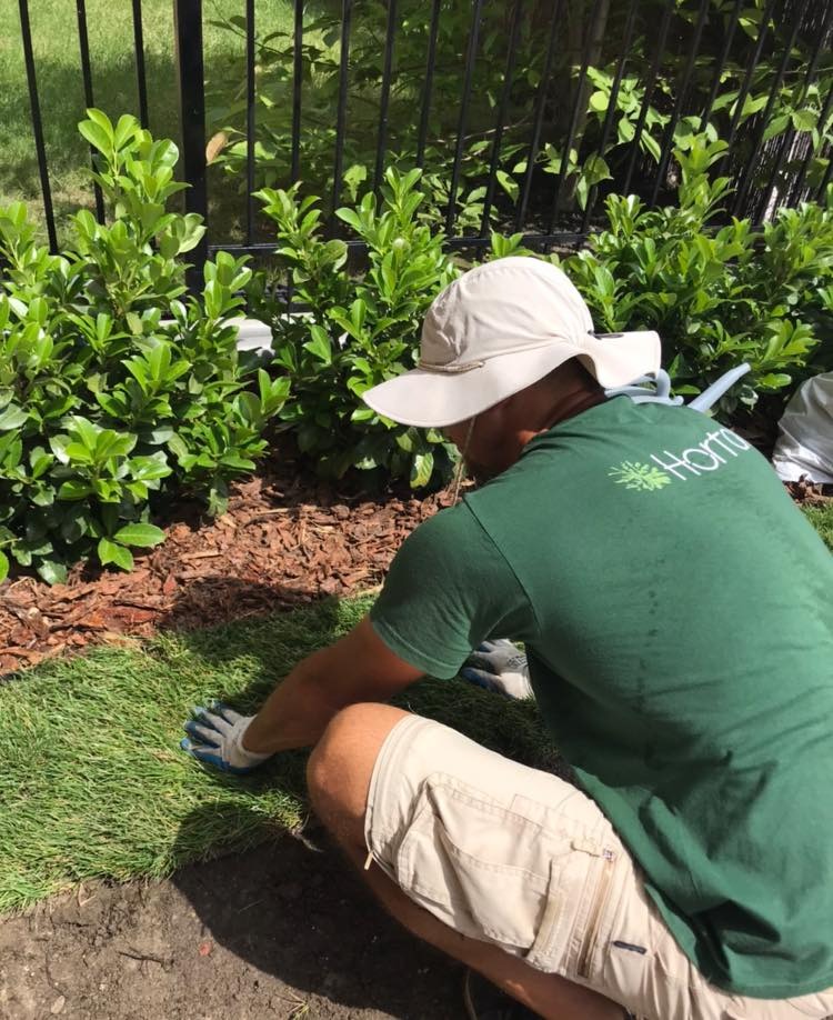 Mężczyzna w kapeluszu i zielonej koszulce z logo, w rękawicach, układa fragment trawy z rolki przy ogrodzeniu i krzewach na podsypce z kory.