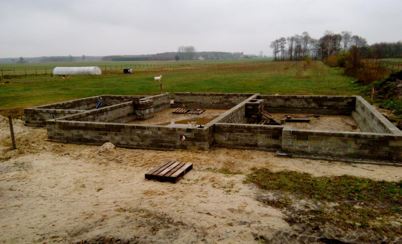 Fundamenty domu jednorodzinnego z bloczków betonowych, wewnątrz kałuże wody, w tle łąka z białym psem i szklarnią, pochmurny dzień.