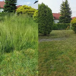 Porównanie trawnika przed i po koszeniu. Po lewej wysoka trawa, po prawej krótko przystrzyżona. Widoczne drzewa i krzewy w tle. Efekt 'przed i po' na podzielonym zdjęciu.