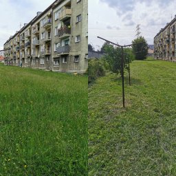 Koszenie trawy Oświęcim 1