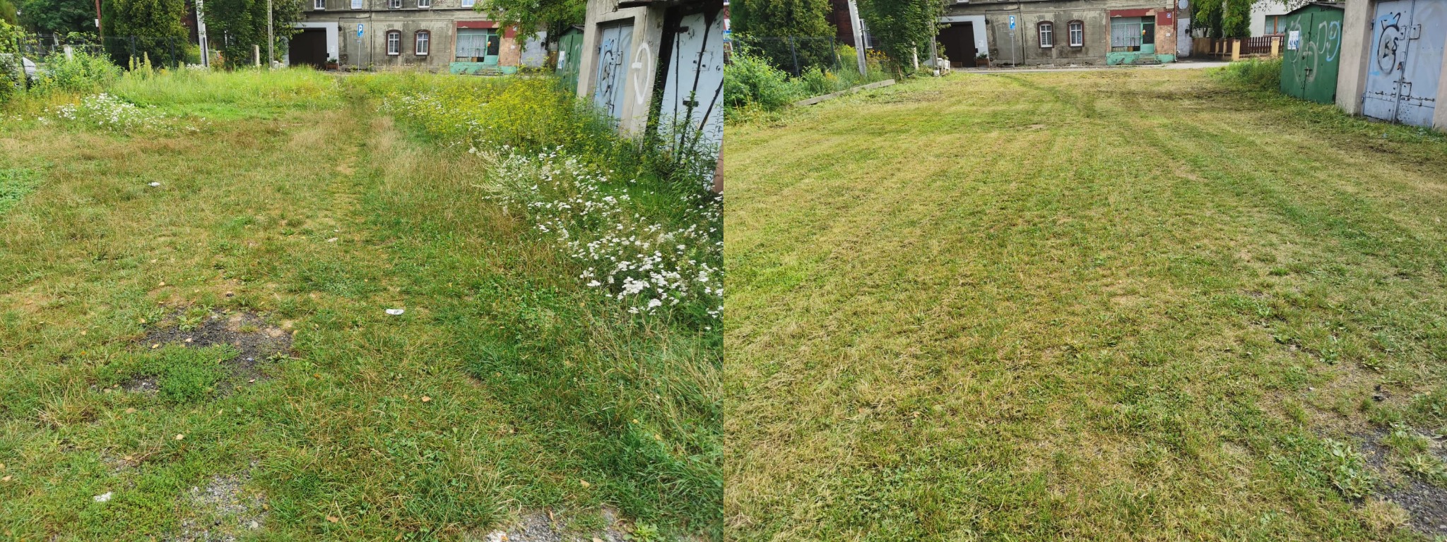 Porównanie trawnika przed i po koszeniu, widoczne różnice w wysokości i wyglądzie trawy, budynki w tle.