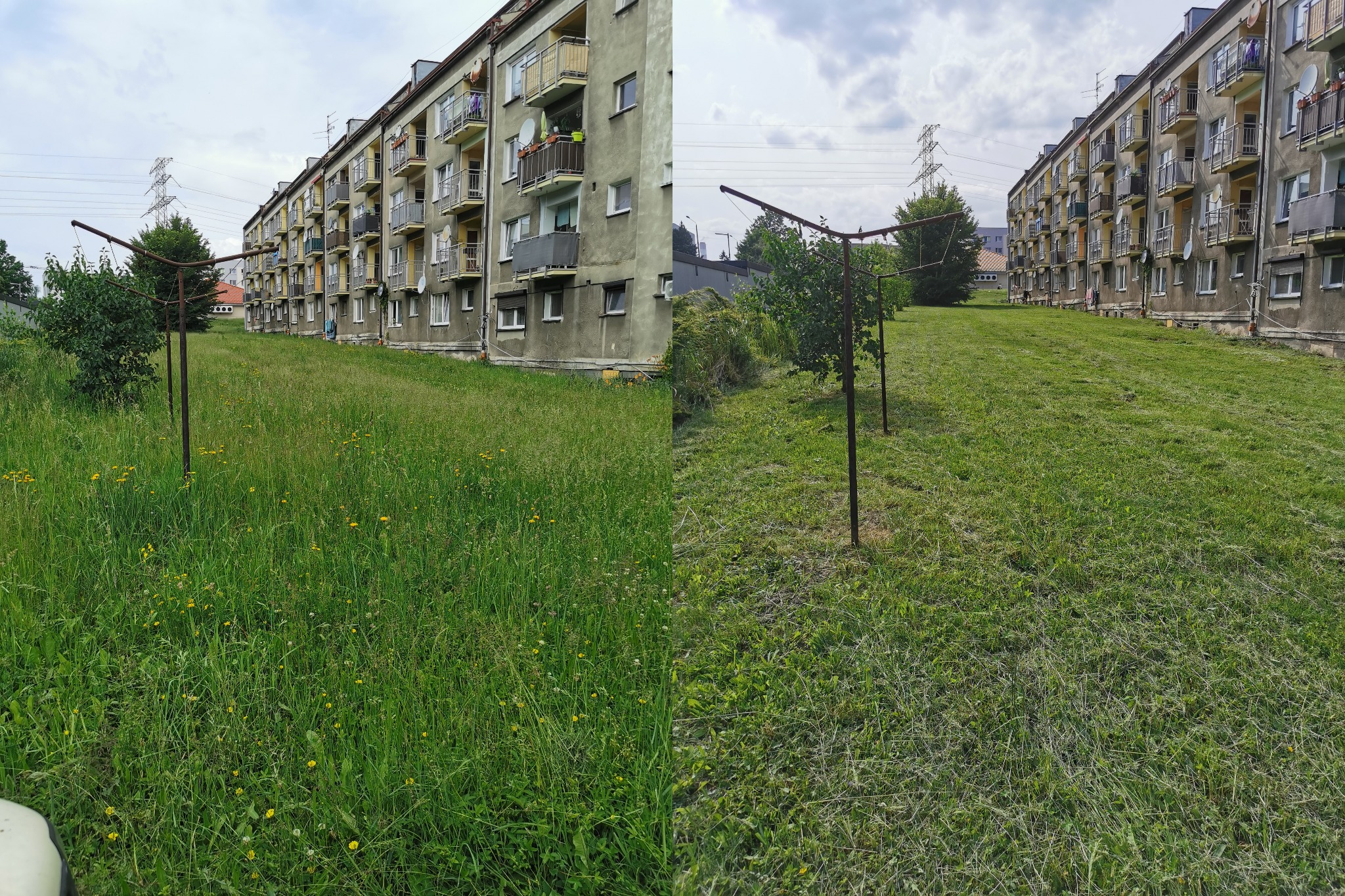 Porównanie: trawa przed i po koszeniu przed blokiem. Po lewej wysoka, po prawej krótko przystrzyżona. Metalowy stojak na pranie na pierwszym planie.