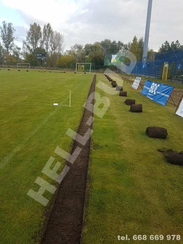 Wąski wykop pod instalacje na murawie boiska, obok zwinięte rolki darni czekające na ułożenie, w tle bramki i drzewa.