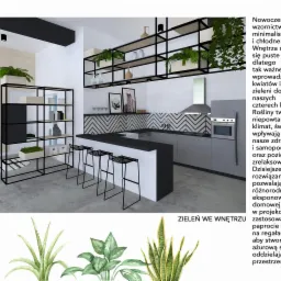 Wizualizacja nowoczesnej kuchni z czarno-białymi akcentami, roślinami doniczkowymi na półkach i geometrycznym wzorem na ścianie nad blatem, uzupełniona o renderowane grafiki roślin w dolnej części.