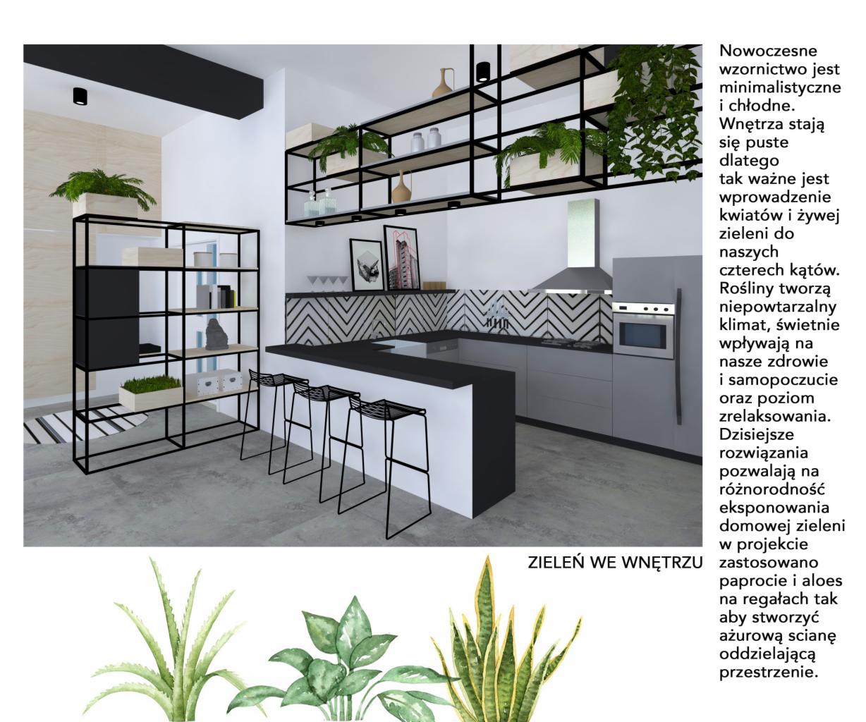 Wizualizacja nowoczesnej kuchni z czarno-białymi akcentami, roślinami doniczkowymi na półkach i geometrycznym wzorem na ścianie nad blatem, uzupełniona o renderowane grafiki roślin w dolnej części.