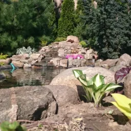 Ogród z kaskadą wodną zbudowaną z kamieni, otoczoną roślinami ozdobnymi, w tym funkiami o zielono-białych liściach i purpurowymi dzwonkami.
