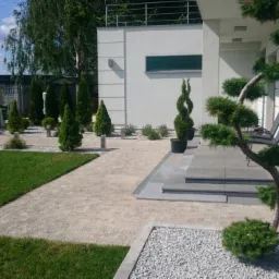 Nowoczesny ogród przydomowy z trawnikiem, ścieżką z kostki brukowej, ozdobnymi krzewami iglastymi i drzewkiem bonsai na tle białej elewacji domu.