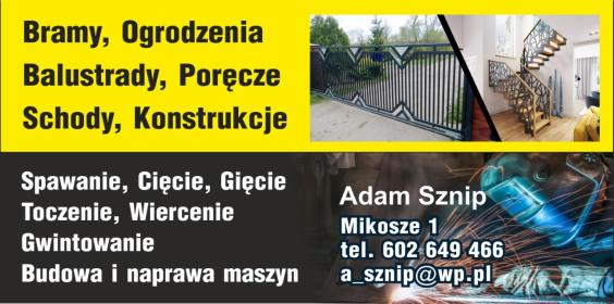 Adam Sznip - Ogrodzenia kute Mikosze